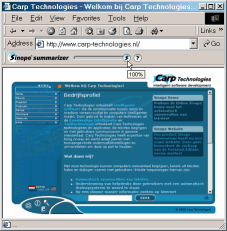 Sinope Summarizer PE Trial Screenshot